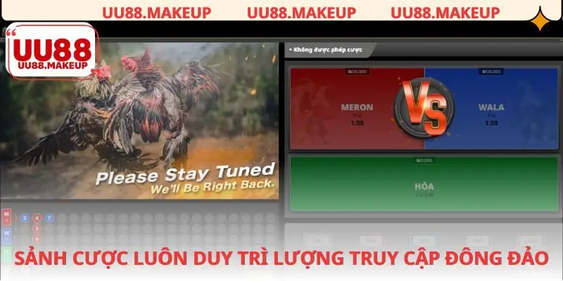 Đá gà UU88 luôn giữ nhiệt trên thị trường cá cược trực tuyến