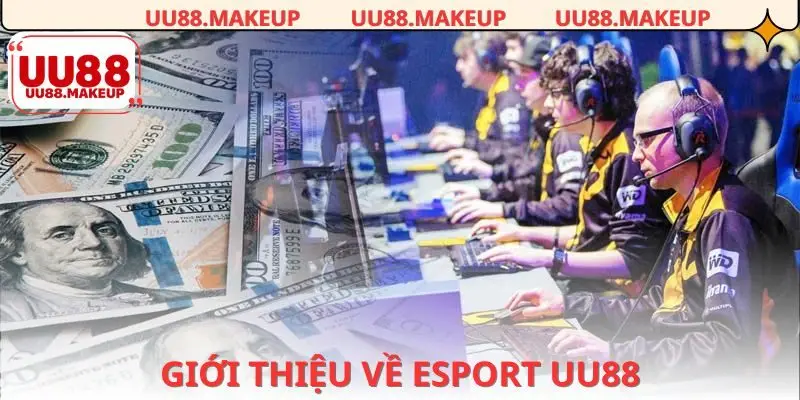 Giới thiệu tổng quan về khu vực Esport UU88