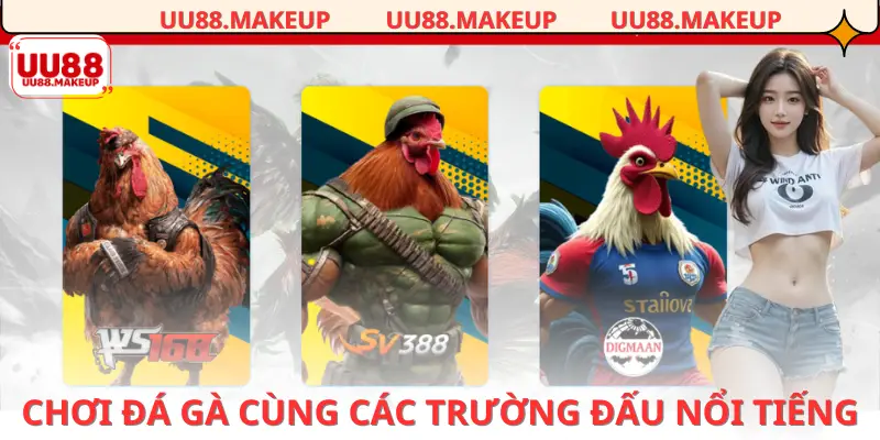 Danh mục game đá gà phù hợp cho người chơi hăng hái thích chiến đấu