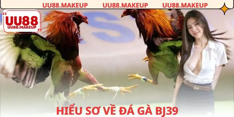 Sơ lược về sảnh đá gà bj39