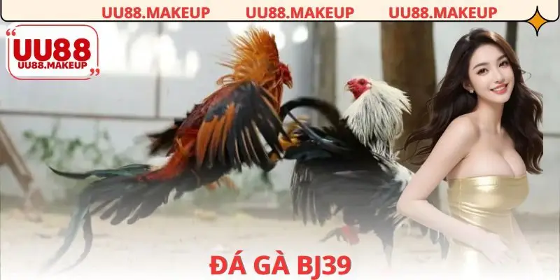 Đá gà bj39