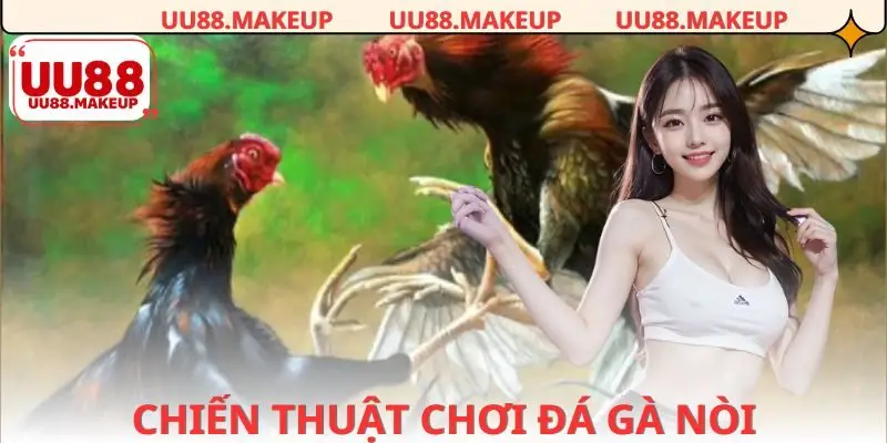 Tổng hợp các chiến thuật tăng ưu thế khi chơi cá cược đá gà nòi