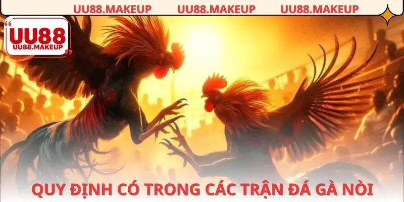 Cách chơi đá gà nòi từ a đến z